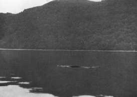 Nessie