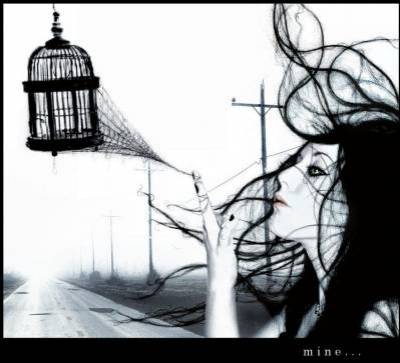 Cage a oiseaux