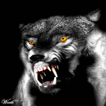 Loup!