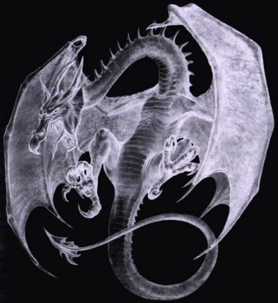 Dragons