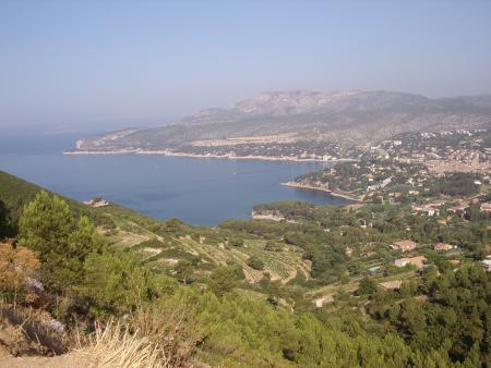 Cassis